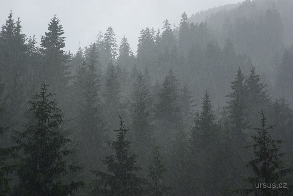 IMGP3146.JPG - Na zpáteční cestě nás chytila pořádná bouřka. Ještěže bylo kam se schovat!