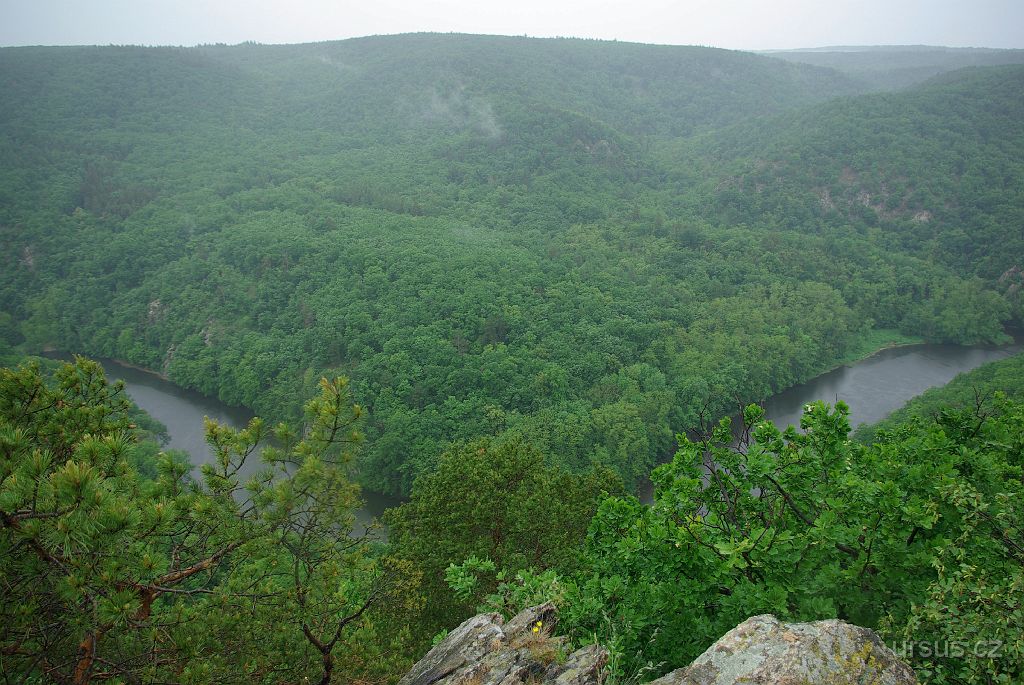 IMGP8508.jpg - V národním parku Podyjí nám vydatně pršelo, přesto i takové počasí mělo své kouzlo.