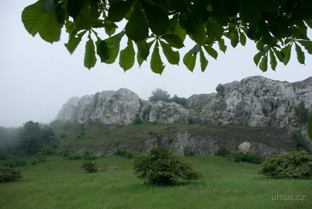 IMGP8516.jpg - Na počasí jsem měl opravdu štěstí. I v tak suché oblasti jako je CHKO Pálava jsem zažil déšť a mlžno. To se jen tak nepodaří!