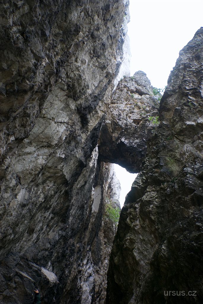 IMGP8525.jpg - Skály ve vápencovém Bradle jsou skutečně bizarní.