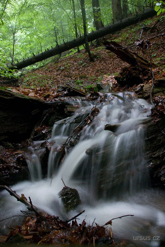 IMGP8608.jpg - Beskydská divočina.