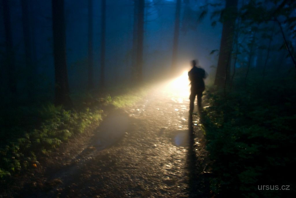 IMGP8662.jpg - "Setkání v lese"