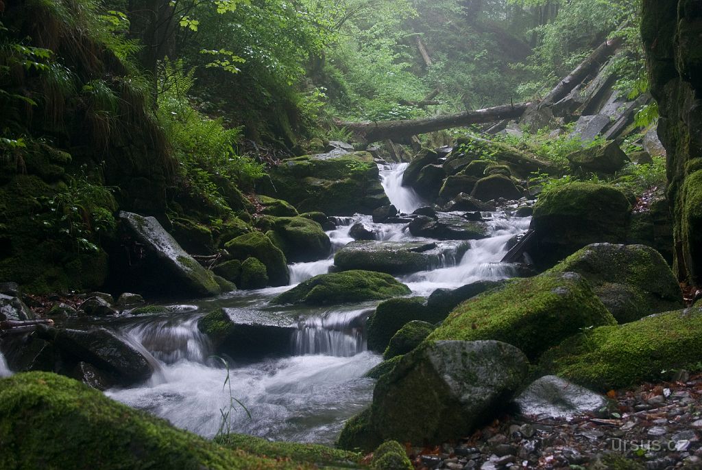 IMGP8792.jpg - Z Lysé hory sestupujeme do údolí říčky Satiny.