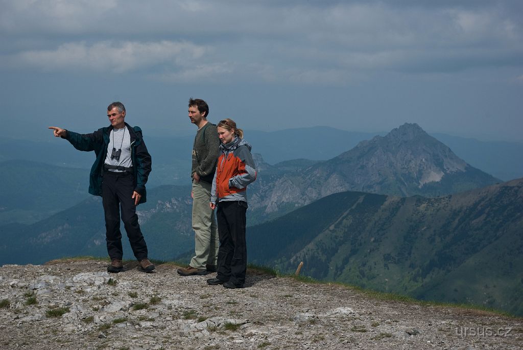 IMGP9179.jpg - Tak co, najdeme nějaké hnízdo lindušek?