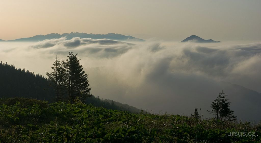 IMGP9221.jpg - Ráno jsem si přivstal v 5h...a stálo to za to!