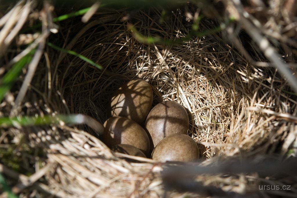 IMGP9331.jpg - Ano! A dokonce ne prázdné.