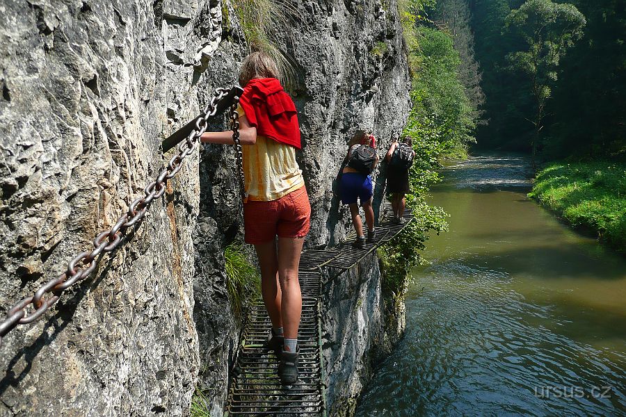 P1020429.JPG - Jedna z hlavních atrakcí Prielomu Hornádu- visutá cesta nad řekou. Možná to bylo tím, že bylo tropické vedro a že jsem zmlsaný z ferrat v Dolomitech, ale nic extra to není. Pokud si chcete užít romantiky Slovenského ráje, doporučuji úzké doliny (Velký Sokol, Sokolia dolina, Piecky, Suchá Belá).