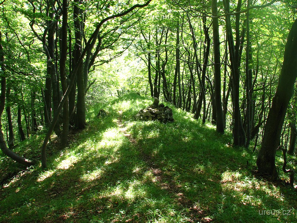 29.JPG - Část naší trasy vedla i okrajem NPR Strážov. Po úžasných travnatých pěšinách stoupáme a klesáme a zase stoupáme a klesáme...