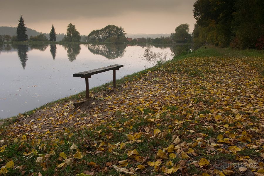 IMGP9689.jpg - Nostalgická nálada vládla jednoho podvečera u Podlesského rybníku poblíž Valašského Meziříčí.