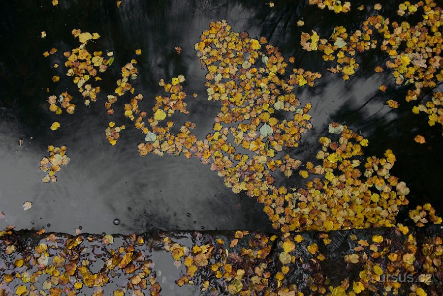 IMGP9692-2.jpg - Že nepoznáte, cože to fotím? :-)