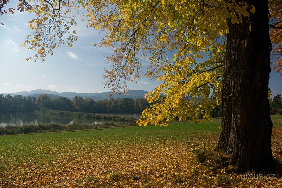 IMGP9731.jpg - Zuberské rybníky.