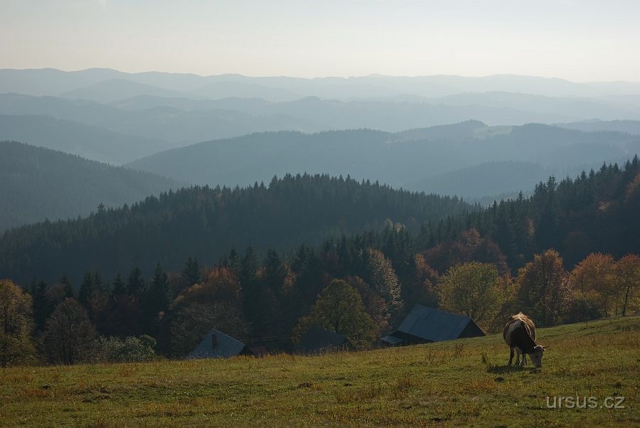 IMGP9779.jpg - V pozadí hřeben Javorníků.