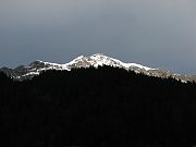 IMG_0669