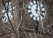 A abychom při pohledu na tajuplnou kavku nezapomněli- pevnost bývá rovněž dějištěm mezinárodních folklorních festivalů.