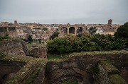 ...či na Forum Romanum a Maxentiovu baziliku, jednu z posledních velkolepých staveb antického Říma.