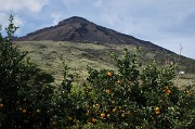 Stromboli, toť subtropický ráj na zemi - pomeranče a mandarinky zde zrají pod blankytným nebem a ve vesničce San Vicenzo vládne dokonalá pohoda. Nad tím vším však dřímá drak-sopka.