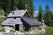 Planina Viševnik je opravdu kouzelná a mezi stromy na ni shlíží ze svých skalnatých výšin sám Triglav.