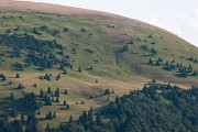 Bezlesá temena hor jsou pro Holnou Fatru typická a jsou způsobeny pastvou, která posouvá horní hranici lesa do nadmořské výšky 1300 m n. m. : Domi, Slovensko, Velká Fatra