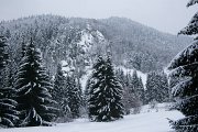 Loučíme se se skalami, které nám připravily nevšední zimní zážitek a míříme zpátky do vesnice. : Beskydy, Pulčínské skály, Valašsko, Vsacko, ledopády, zima