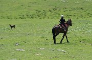 Poslední den treku scházíme údolím kolem stád pastevců a zjišťujeme, že Kyrgyzové jsou ke koňům přirostlí již od útlého mládí.