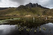 719 m vysoký Storr je nejvyšším bodem pohoří Trotternish Ridge na poloostrově Trotternish. : Skotsko, Skye