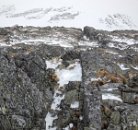 Máme to za sebou (nebo spíš pod sebou:)