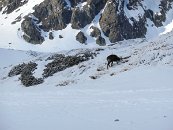 Sedím u stolu, za mnou v krbu praská dřevo, srkám pivo a čumím ven, jak kamzík ožírá trávu. No není to bohovské?